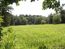 PICT0082
